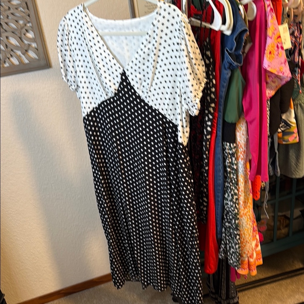 BloomChic Polka Dot Black and White Dress, Size 12